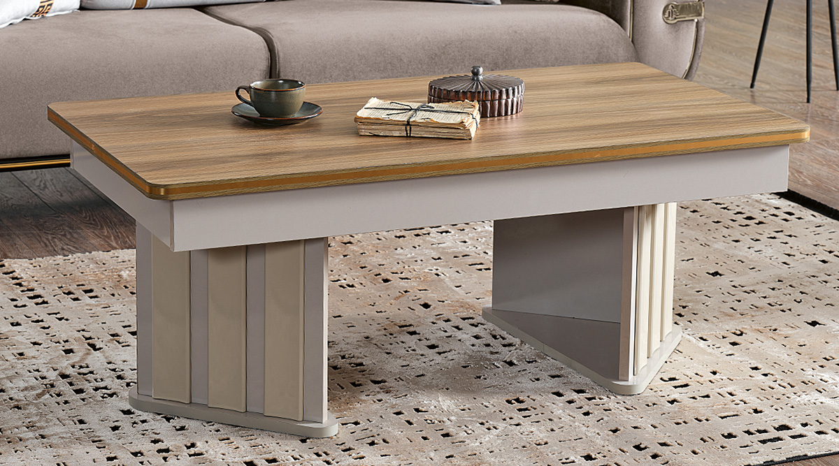 Pars Koltuk Takımı Versiyon -1